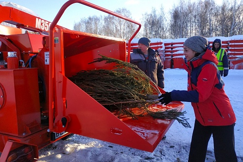 Тюменцы сдали более двух тонн новогодних елей на переработку