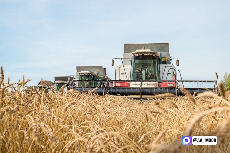 Александр Моор: Тюменская область вносит весомый вклад в развитие отечественного АПК