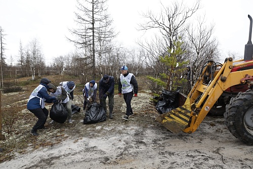 Сотрудники «Газпром добыча Уренгой» провели акцию по сохранению деревьев