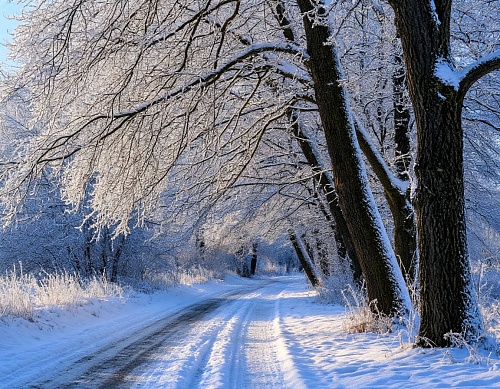 Народные приметы на 29 января: мороз в Петров день - предвестник летней жары