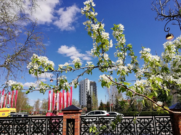 Афиша в Тюмени на 17-18 мая: "Ночь музеев", спектакль о Высоцком и «Тюмень сильная»