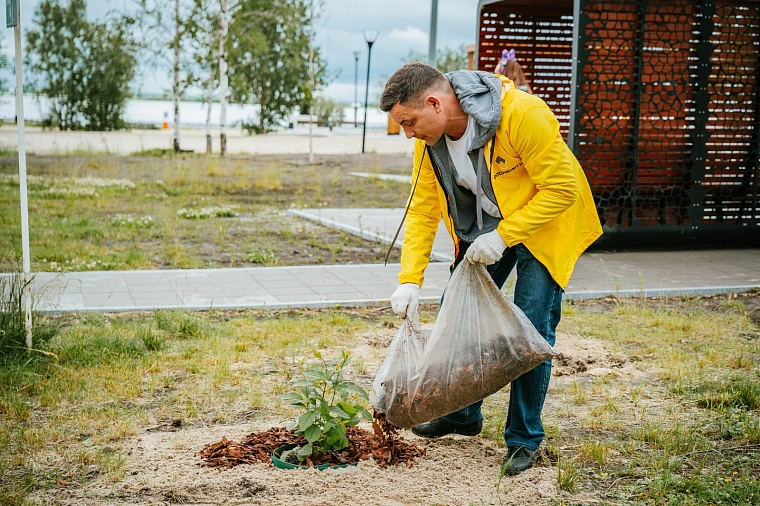 В честь героев Великой Отечественной войны на берегу Иртыша высадили сиреневый сад