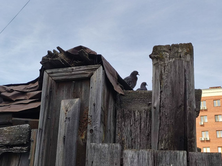 Улицы имени гангстеров: почему имена Сакко и Ванцетти до сих пор на карте Тюмени?