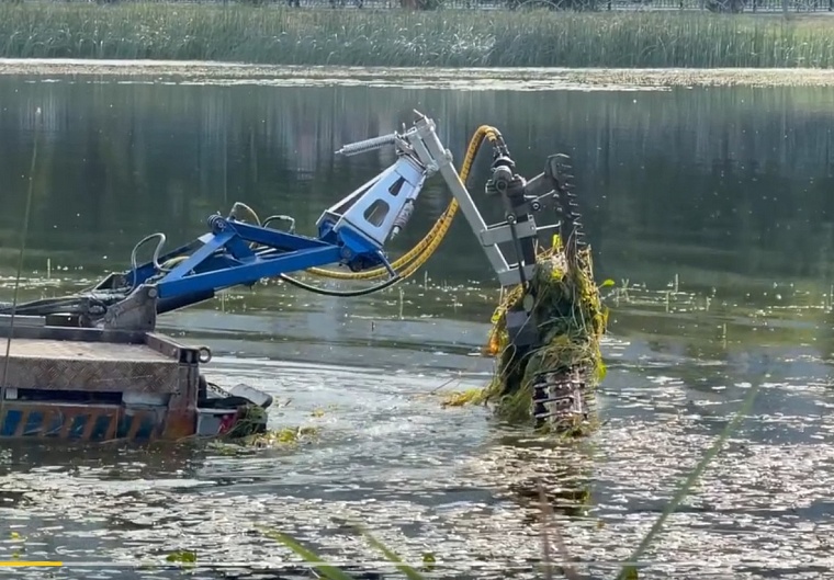 «Амфибия» очистила от водорослей и камыша пруд Южный в Тюмени