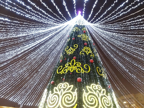 В благоустроенном парке Пограничников и территории на ул. 70 лет Октября украсят новогодние елки
