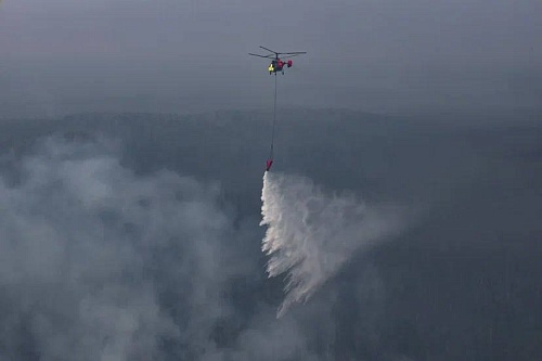 За сутки в Тюменской области ликвидированы 13 лесных и ландшафтных пожаров