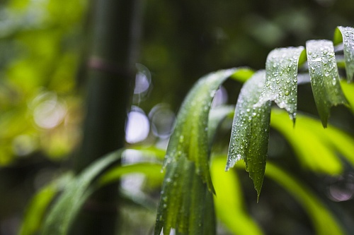 Народные приметы на 22 мая: дождь на Николу сулит безоблачную жизнь