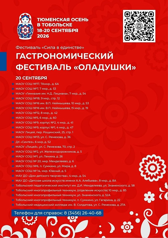 В Тобольске на три дня запретят беспилотники