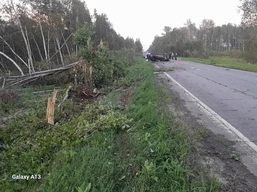Съехал в кювет, ударился в дерево: в Тюменской области погиб водитель "Мазды"