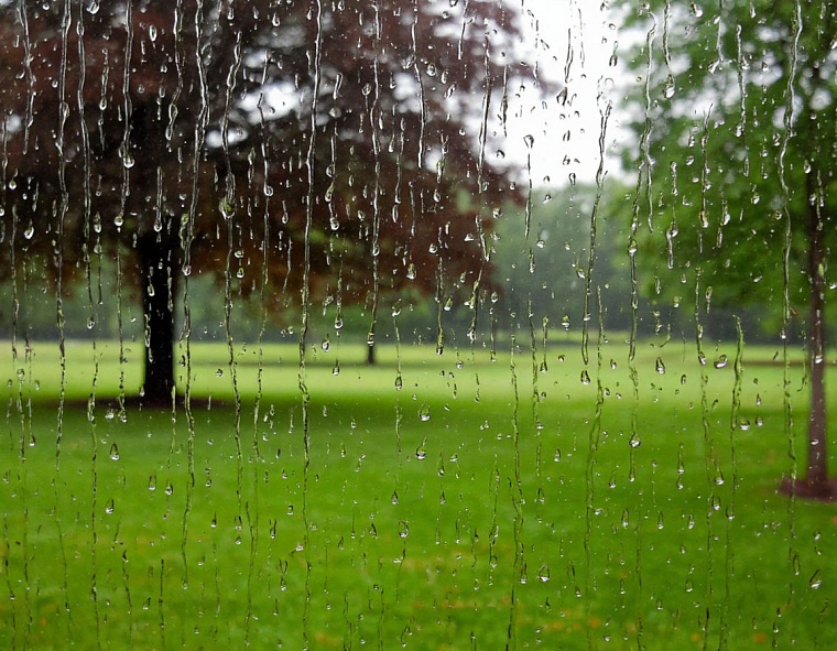 Народные приметы на 10 июля: на Самсона дождь - семь недель то ж