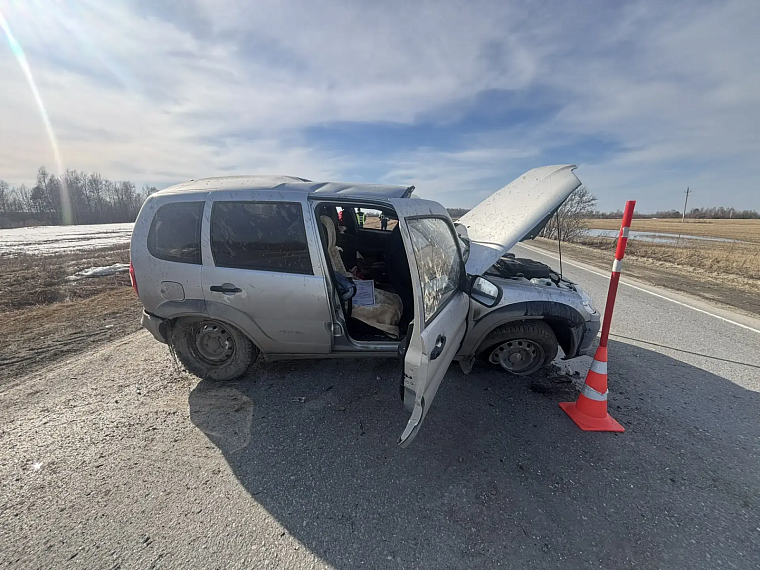 Житель Вагайского округа опрокинулся в автомобиле и погиб.