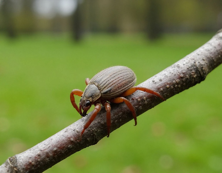 Картинка сгенерирована ИИ