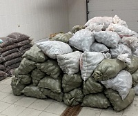 Жители Голышманово отправили бойцам в зону СВО две тонны картофеля