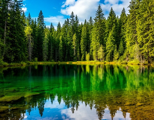 Юные экологи из Тюменской области победили на всероссийском форуме