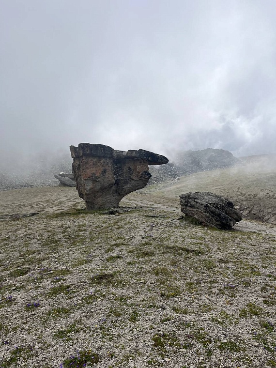 Обычное лукошко для таких грибов точно не подойдет
