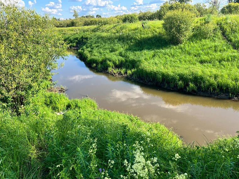 Тело 71-летнего рыбака под Ялуторовском обнаружили прохожие