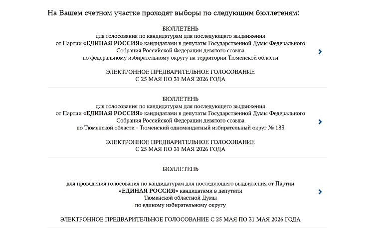 Началось предварительное голосование «Единой России»: инструкция, как выбирать кандидатов
