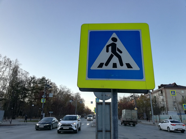 В Тюменской области прошел масштабный рейд «Бесправник»: отстранено 58 водителей