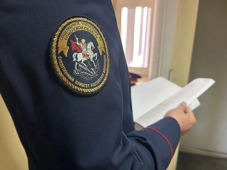 СК возбудил уголовное дело после избиения школьника в Викуловском округе