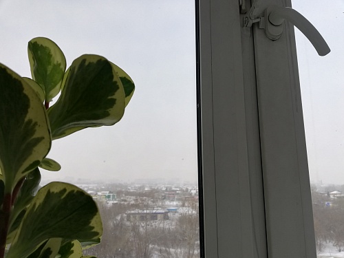В Тюменской области селянка украла чужие пластиковые окна для строительства своего дома