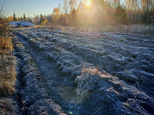Александр Моор: Регион продолжит развивать противопожарную службу и добровольные дружины
