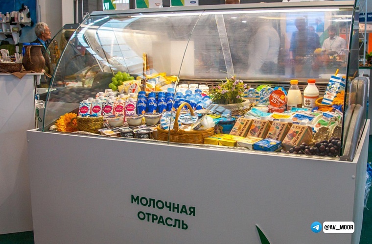 Александр Моор о новом нацпроекте по экспорту продукции АПК: Будем продолжать работу вместе