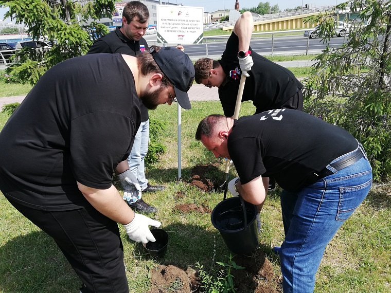 В День России в Тюмени высадили символичную аллею