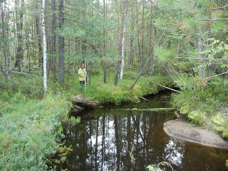 В Сургутском районе ХМАО нашли два археологических памятника