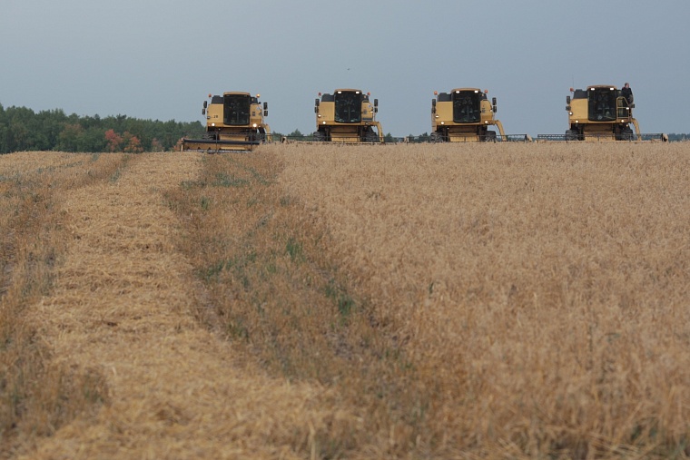 Александр Моор: В регионе растут объемы производства, обновляется техника, развивается переработка