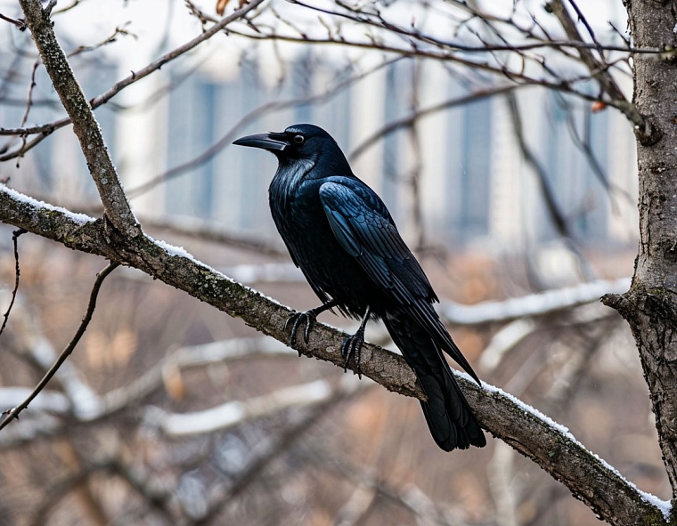 Картинка сгенерирована ИИ