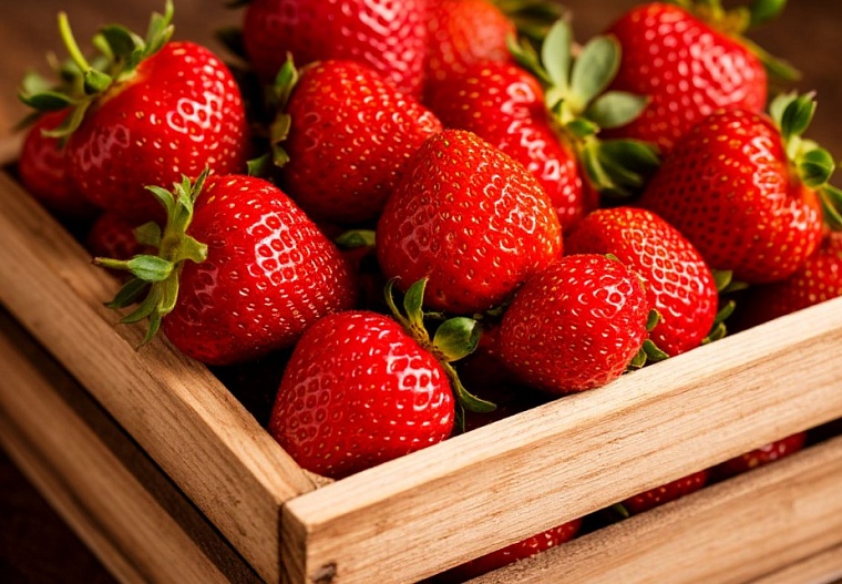 Фото сгенерировано ИИ