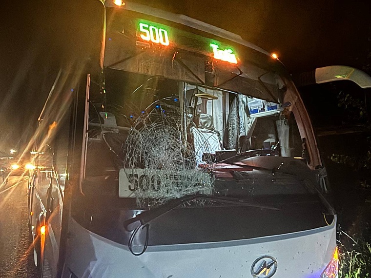 В Уватском округе рейсовый автобус насмерть сбил 69-летнего велосипедиста