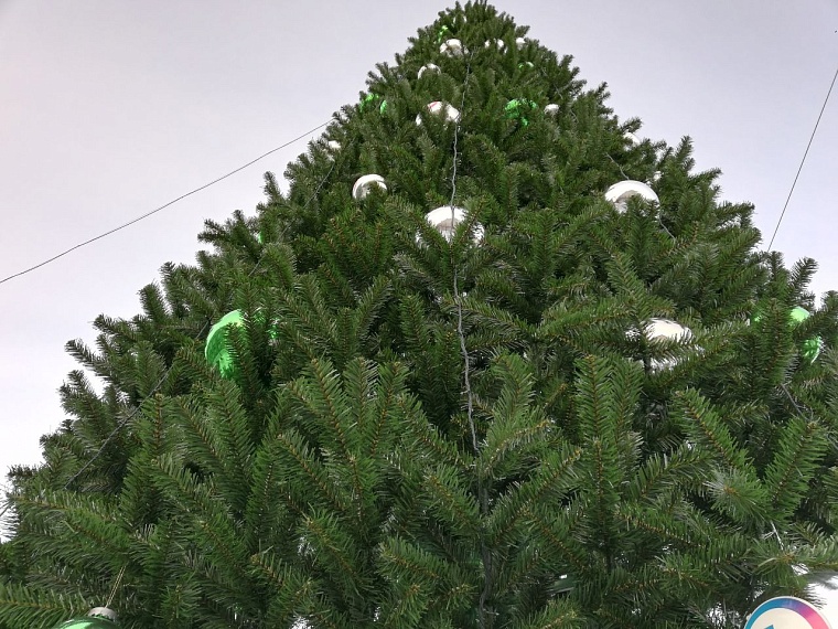 В Ишиме начали разбирать главную новогоднюю елку