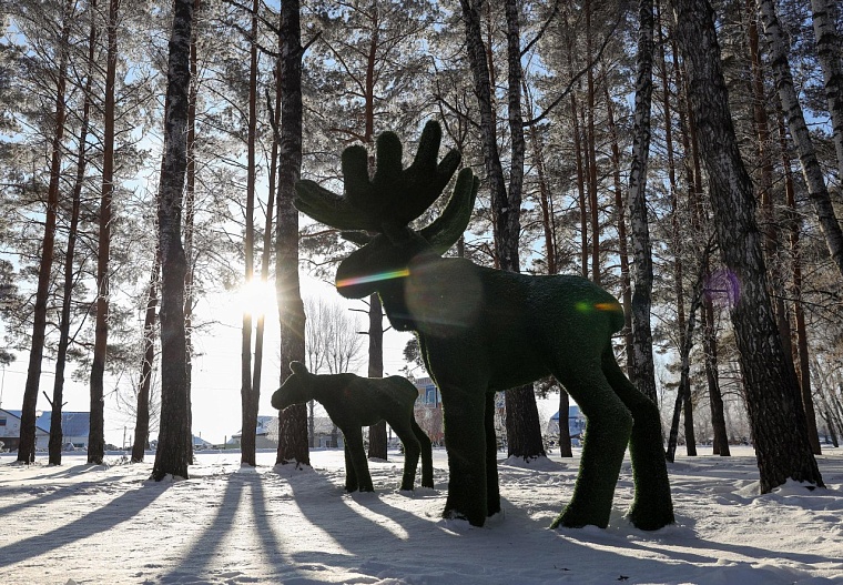 Жители Ишима выберут локацию для благоустройства в 2027 году из трех вариантов