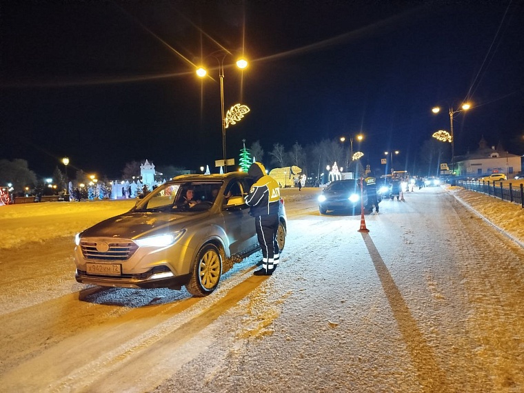 В Тюменской области пройдут сплошные проверки водителей на трезвость