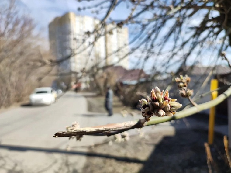 Приходил дать нам волю: где в Тюмени искать сарынь, кичку и Стеньку