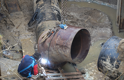 Во время строительства коллектора в Гилевской роще в Тюмени деревья не пострадали