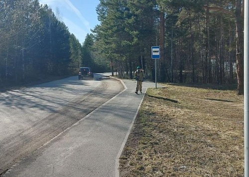 Зоны отдыха в городских лесах Тюмени обработали от клещей