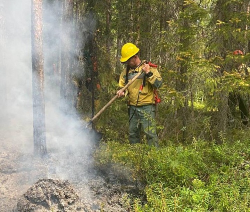 Тюменские леса пережили самый спокойный пожароопасный сезон за шесть лет