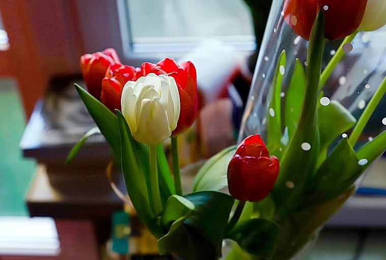 Мошенники придумали новую схему обмана с цветами и подарками на 8 Марта