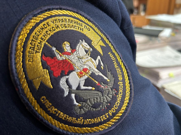 Александр Бастрыкин отреагировал на преследование мигрантами школьницы в Тобольске