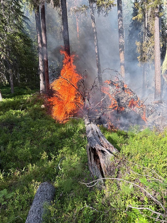 Где техника бессильна, в бой с огнем вступает пожарный десант