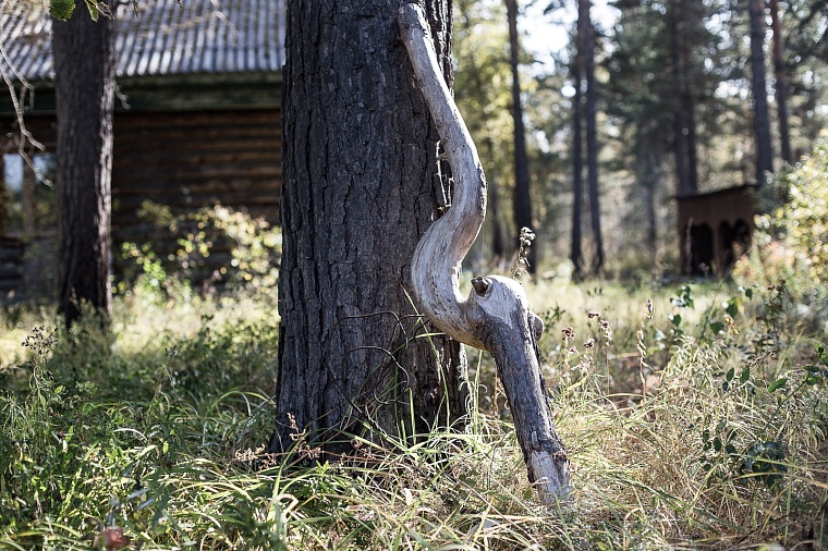 В Тюменской области 116 тысяч объектов исключены из ЕГРН