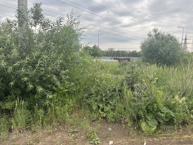 к мостику нужно пробираться по протоптанным тропкам