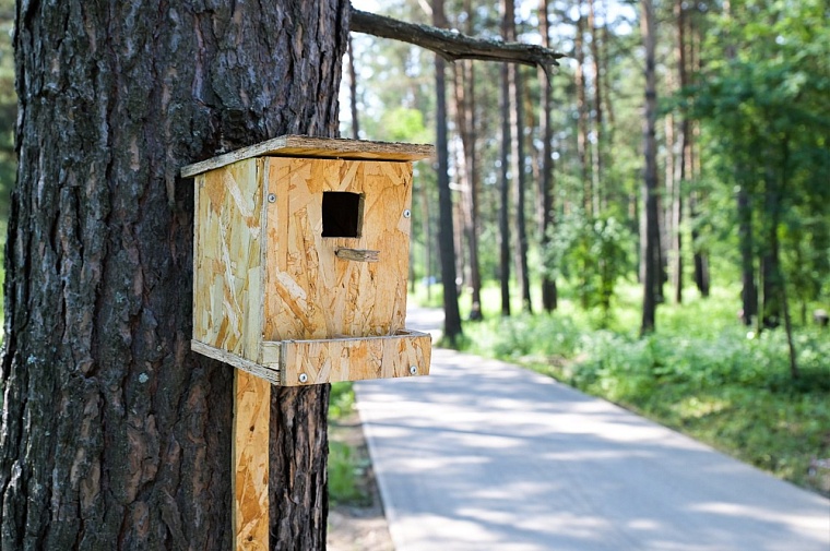 Александр Моор и Максим Афанасьев оценили ход благоустройства в Комарово-парке