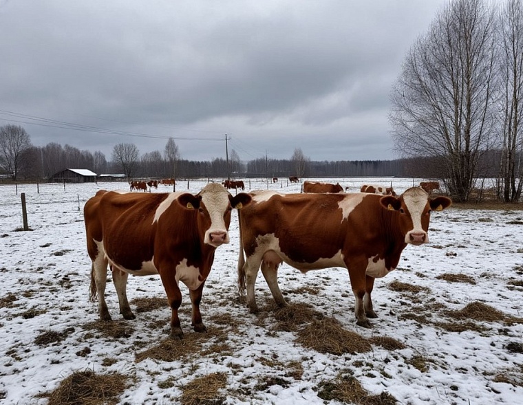 Фото сгенерировано ИИ