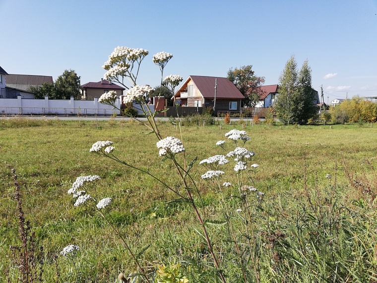 Жители одной из деревень Тюменского округа обратились в Следком по транспортному вопросу