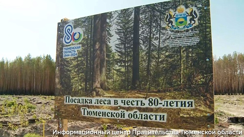 В Тюменском районе в честь 80-летия региона высадили 80 тысяч деревьев