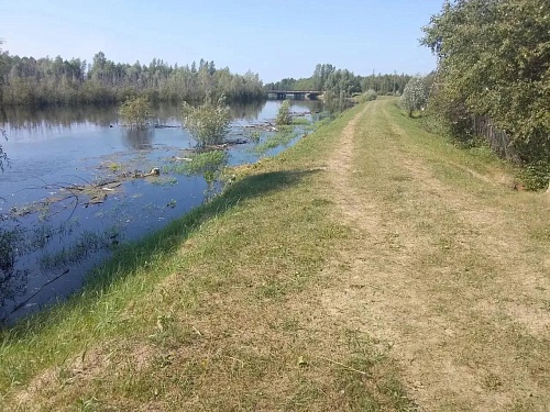 В Нижнетавдинском округе ожидается снижение воды в реке Тавда