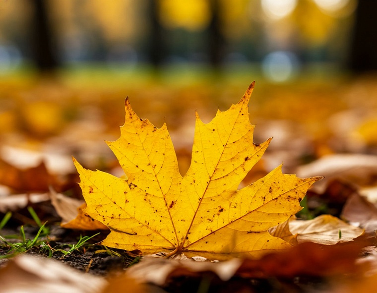 Фото сгенерировано ИИ